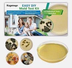 Mold Test Kit for Home – 12 Simple Detection Tests,Test HVAC System,Home Surface