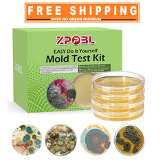 Mold Test Kit for Home, 4 Detection Tests for HVAC, Surfaces & Indoor Air Qualit