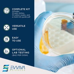 Evviva Sciences Mold Test Kit for Home – 10 Easy Detection Tests w/Optional L…