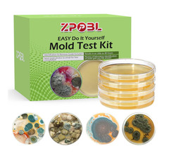 Mold Test Kit for Home Air: DIY Mold Detector with 4 Simple Detection Tests, USA