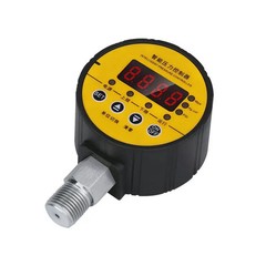 Digital Hydraulic Pressure Gauge 400BAR 0-40Mpa 10000PSI G1/4 Tyre Meter Vacuum