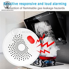 Natural Gas Sensor Combustible Household Smart WiFi Gas Detector Leakage Alarm