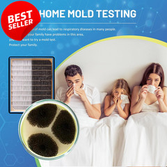 Mold Test Kit for Home DIY 7 Tests Air HVAC Surface Black Mold Detector – US