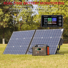BINTA 0-50A Small Battery Monitor Shunt Voltmeter Ammeter for Lifepo4 Lithium, B