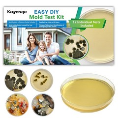 Mold Test Kit for Home – 12 Simple Detection Tests,Test HVAC System,Home Surf…
