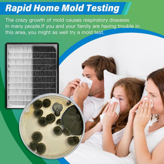 Mold Test Kit for Home – 12 Simple Detection Tests,Test HVAC System,Home Surface