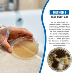Home Mold Test Kit – 6 Tests, Black Mold Detector, Free Lab Analysis