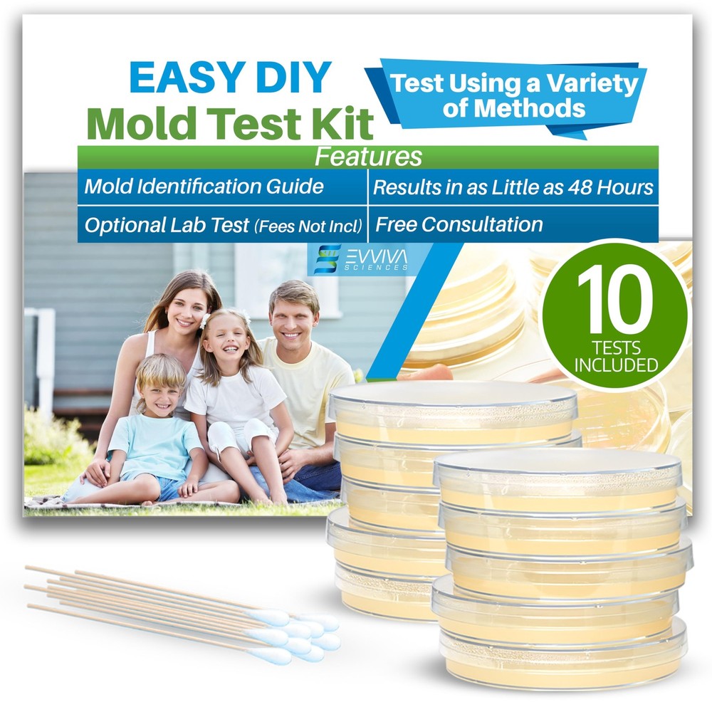 Evviva Sciences Mold Test Kit for Home – 10 Simple Mold Detection Tests – Option