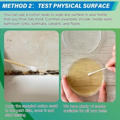 Mold Test Kit – 12 Tests for Home, HVAC, Surfaces & Indoor Air Quality