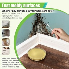 Mold Test Kit for Home – 6 Simple Detection Tests,Test System,Home Surfaces,&…