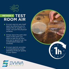 Evviva Sciences Mold Test Kit for Home – 10 Simple Mold Detection Tests – Option