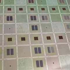 Silicon Wafer 8” G