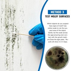 Home Mold Test Kit – 6 Tests, Black Mold Detector, Free Lab Analysis