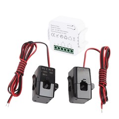 Smart WiFi Energy Meter Single Phase Electricity Meter With 2PCS 80A Clamp