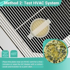 Mold Test Kit for Home Detection, 4 Simple DIY Science Kit for Fast Testing Home