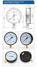 Pressure Gauge Y-100 Industrial Bourdon Tube Vacuum Gauge 0-1.6MPa G1/2
