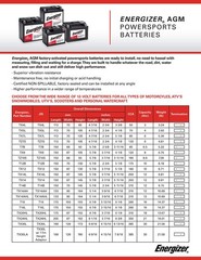 Energizer TX14AH AGM ATV and UTV 12V Battery, 210 Cold Cranking Amps and 12 A…