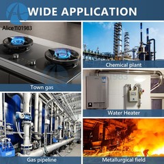 Natural Gas Leak Detector Combustible Gas Detector with Audible & Visual Alarm
