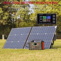 BINTA 0-50A Small Battery Monitor Shunt Voltmeter Ammeter for Lifepo4 Lithium…