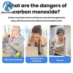Portable Carbon Monoxide Detector Alarm RV Home Gas Leak Detector Rechargeable